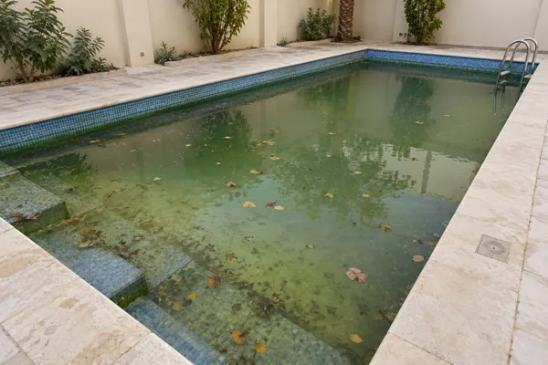 شركة تنظيف مسابح بالرياض شركة تنظيف مسابح بالرياض